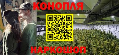гидра Будённовск